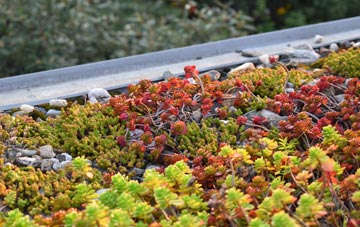 the cost of Kingsley Green green roof installation