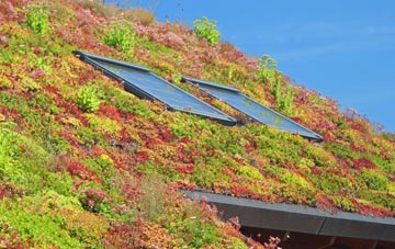 Kingsley Green living roof systems